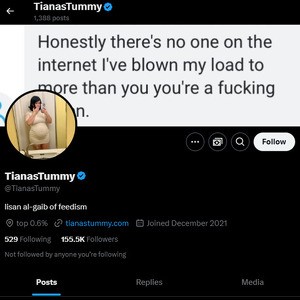 TianasTummy, Twitter Porn Accounts