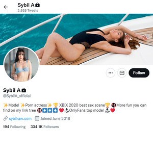 Sybil A Twitter, Twitter Porn Accounts