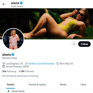 Alexis Texas, Twitter Porn Accounts