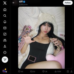 KittyNobi, Twitter Porn Accounts