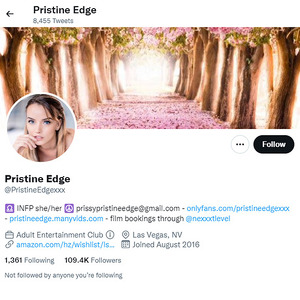 Pristine Edge, Twitter Porn Accounts