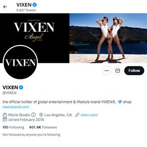 Vixen Twitter, Twitter Porn Accounts