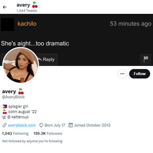 Avery Black, Twitter Porn Accounts