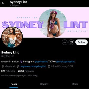 Sydney Lint, Twitter Porn Accounts