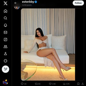 EsterBron, Twitter Porn Accounts