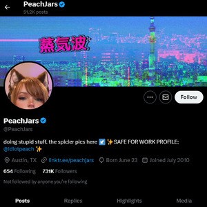 PeachJars, Twitter Porn Accounts