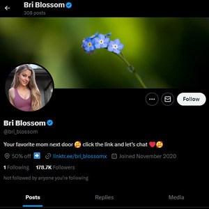 Bri Blossom, Twitter Porn Accounts