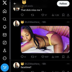 LiliWasHere, Twitter Porn Accounts