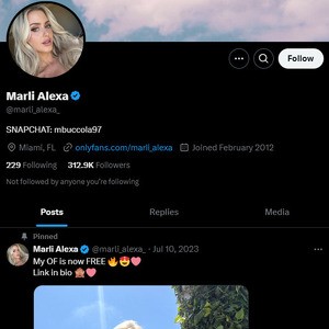 Marli Alexa, Twitter Porn Accounts