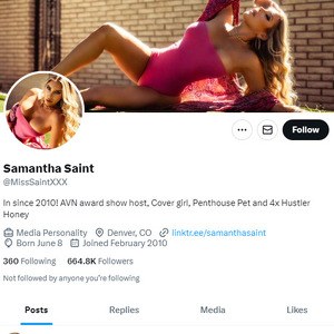 Samantha Saint Twitter, Twitter Porn Accounts