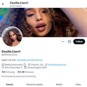 Cecilia Lion, Twitter Porn Accounts