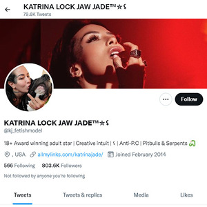 Katrina Jade, Twitter Porn Accounts