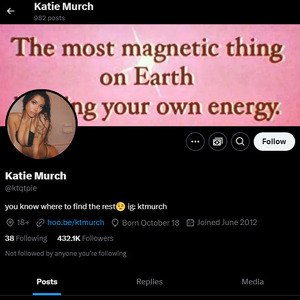 Katie Murch, Twitter Porn Accounts