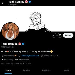 Toni Camille, Twitter Porn Accounts