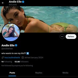 Andie Elle, Twitter Porn Accounts