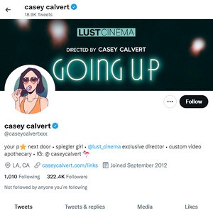 Casey Calvert, Twitter Porn Accounts