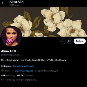 Alina Ali, Twitter Porn Accounts