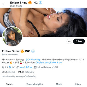 Ember Snow, Twitter Porn Accounts