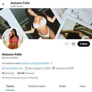 Autumn Falls Twitter, Twitter Porn Accounts