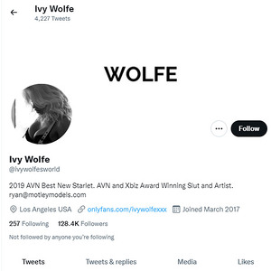 Ivy Wolfe, Twitter Porn Accounts