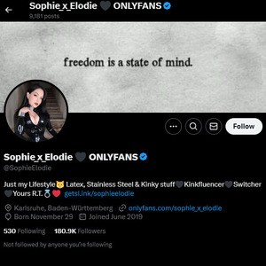 Sophie Elodie, Twitter Porno Konten