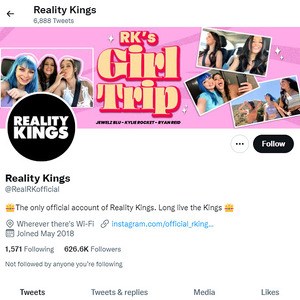 Reality Kings Twitter, Twitter Porn Accounts