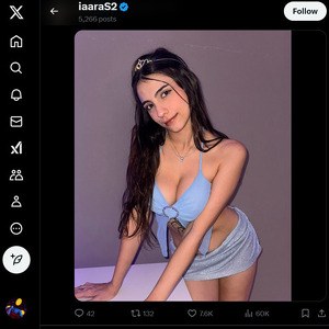 IaaraS2, Cuentas porno de Twitter