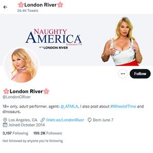 London River, Twitter Porn Accounts