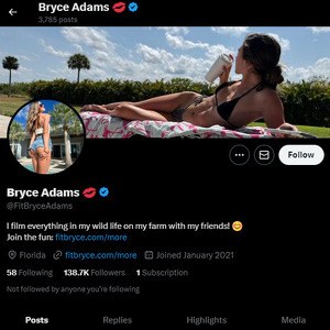 Bryce Adams, Twitter Porn Accounts