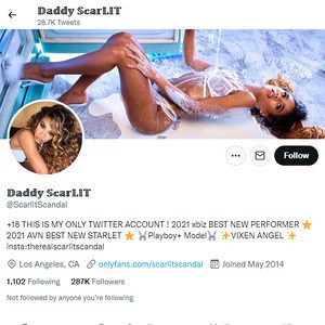 Scarlit Scandal, Twitter Porn Accounts