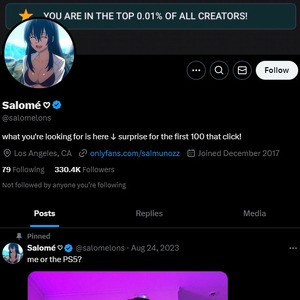 SaloMelons, Twitter Porn Accounts