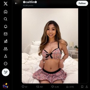 SupCaitlin, Twitter Porn Accounts