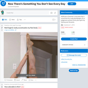 Uncommon Poses, Reddit NSFW List