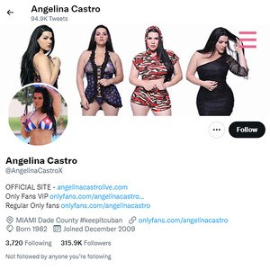 Angelina Castro, Twitter Porn Accounts