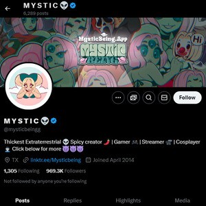 MysticBeing, Twitter Porn Accounts