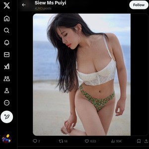 Ms Puiyi, Twitter Porn Accounts