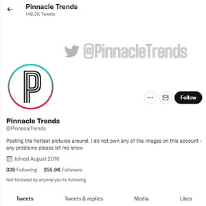 Pinnacle Trends, Twitter Porn Accounts