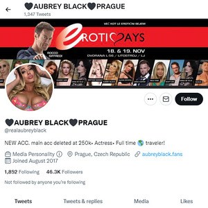 Aubrey Black, Twitter Porn Accounts