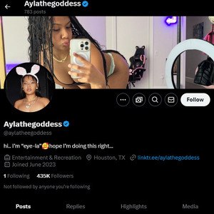 AylaTheGoddess, Twitter Porn Accounts